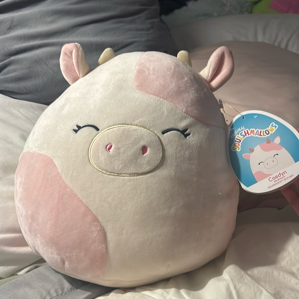 Caedyn 10” Pink Cow Squishmallow Strawberry